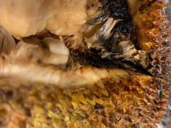 -鸿港海鲜批发市场