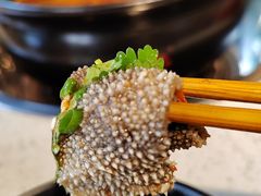 招牌毛肚-钢管厂五区小郡肝串串香(南山店)