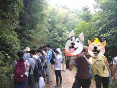 -大围山国家森林公园