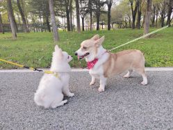 -HEYAN荷妍专业脱毛连锁机构