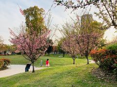 -经纬·泓汇地标家园