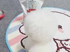 -喜茶(广州天汇igc店)