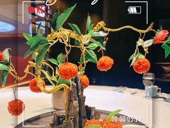 -鱼翅楼·津派砂锅鱼翅(水上公园店)