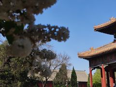 -北京国子监胡同