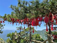 -罗田天堂寨风景区