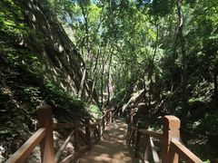 -大岭沟猕猴桃谷风景区