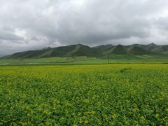 -扁都口生态休闲旅游区