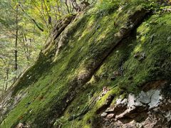 -丹东天桥沟景区