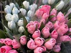 -循礼门鲜花花市(武汉循礼门店)