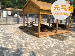 -长白岛森林公园