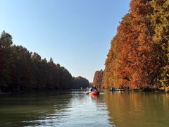 -上海海湾国家森林公园