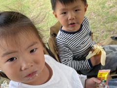 -艾溪湖湿地公园