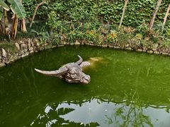 -燊海井