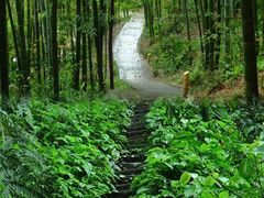 -蜀南竹海景区