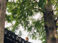 -吾介小籠館