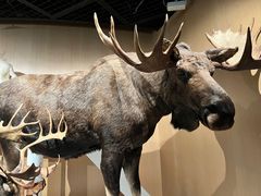 -陕西自然博物馆