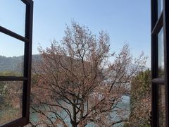 -蒋氏故居