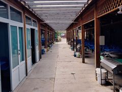-亲兄弟真人CS团建拓展基地