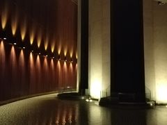 -新加坡文华东方酒店