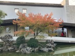 -秋霞圃