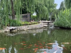 -春风习习