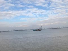 -大湾区中央湿地公园