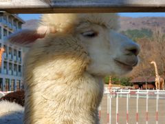 -南京汤山紫清湖生态旅游温泉度假区