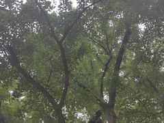 -红螺寺