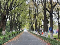 -嘉北郊野公园