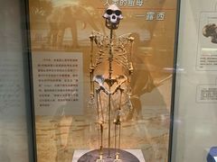 -天津自然博物馆