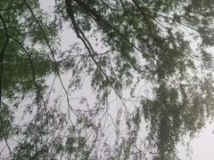 -团结湖公园