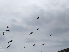 -长岛南北长山旅游景区