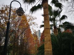 -苏州河梦清园环保主题公园