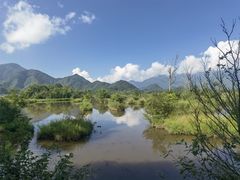 -大九湖