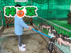 -史努比缤纷世界