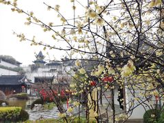 -江宁织造博物馆