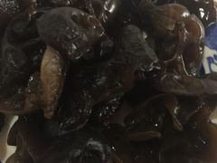 木耳-鑫龙火锅城(青岛分店)