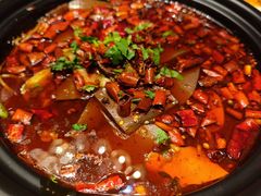 -大鸭梨烤鸭(顺义石园店)