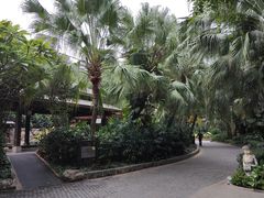 -厦门日月谷温泉渡假村