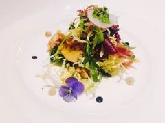 -蝶舍·MAISON PAPILLON