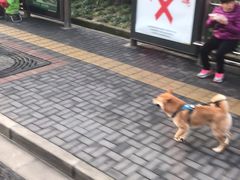 门面-成都你六姐·牛肉冒菜(城市集市合生汇店)