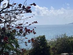 -三亚蜈支洲岛旅游区