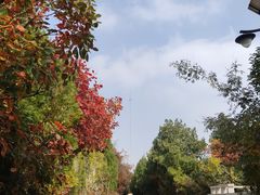 -千佛山风景名胜区
