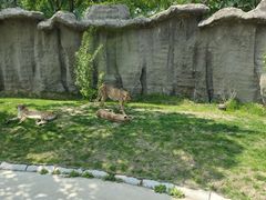 -北京野生动物园