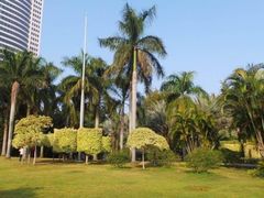 -东风公园