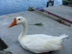 -乡乐园蟹庄·阳澄湖农家乐