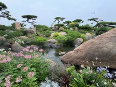 -罗红摄影艺术馆