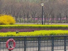 -南开大学(津南校区)