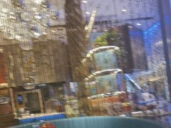 -阿里疆Alijiang·丝路美食·异域风情·清真(长楹天街店)