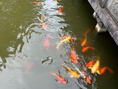 -龙游石窟